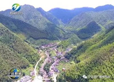 点赞！来到九嶷山下紫江村，他用脚步丈量扶贫路并打赢了这一战——石蛙养殖的故事